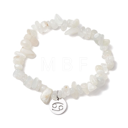 Natural White Moonstone Stretch Bracelets BJEW-JB11147-04-1