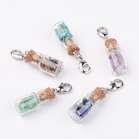 Glass Bottle Pendants X-HJEW-JM00219-1