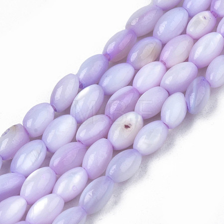 Natural Freshwater Shell Beads Strands SHEL-N003-25-B04-1