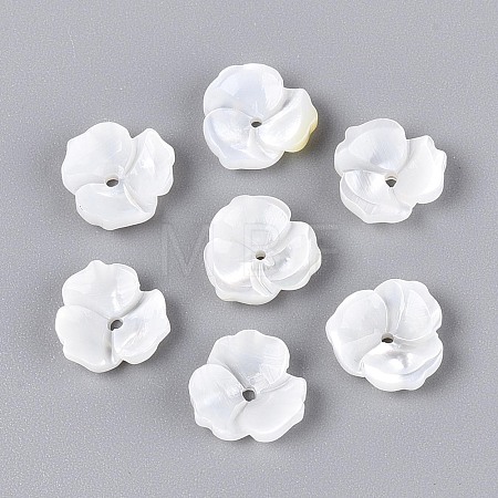 Natural White Shell Beads BSHE-T014-50-1