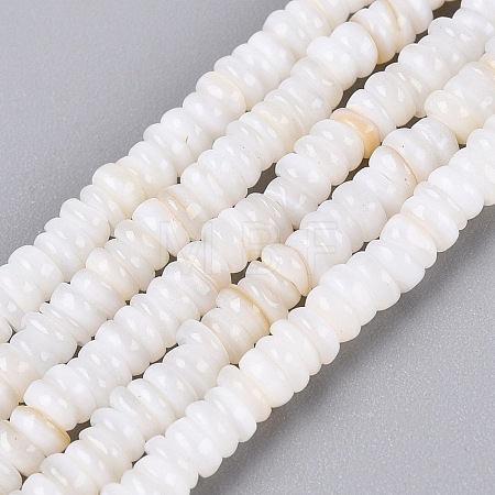 Natural Freshwater Shell Beads Strands SHEL-Q028-01A-1