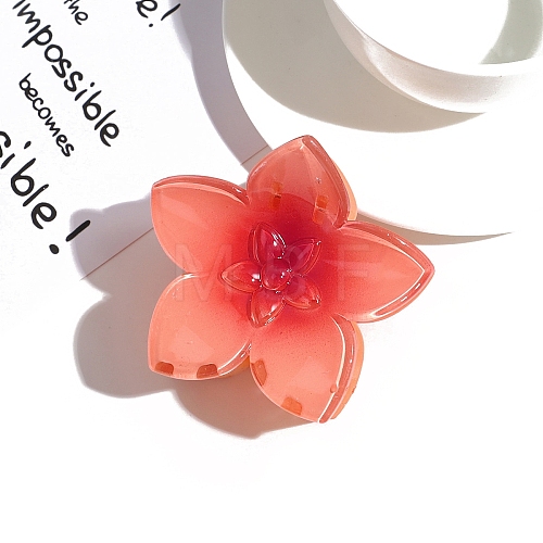 Resin Claw Hair Clips PW-WGFFA57-01-1