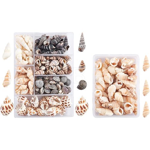 140Pcs 2 Style Natural Shell Beads SSHEL-FH0001-08-1