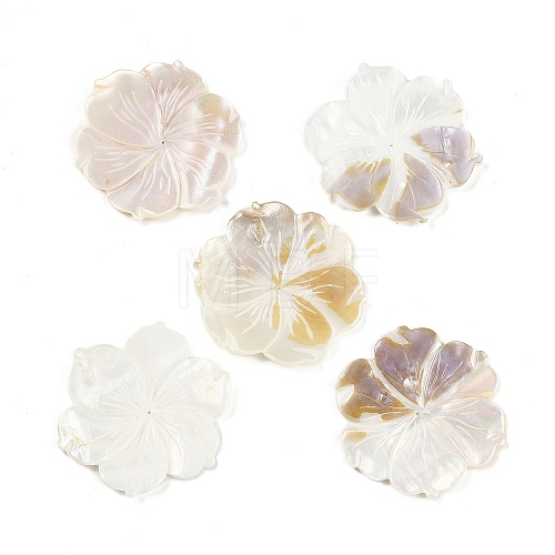 Natural Freshwater Shell Beads BSHE-H109-01-1