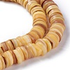 Natural Freshwater Shell Beads Strands BSHE-I016-04B-3