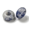 Natural Blue Spot Jasper Beads G-Q173-03A-14-2