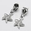 Alloy European Dangle Charms PALLOY-P120-12-1