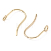 316 Surgical Stainless Steel Earring Hooks X-STAS-P162-13G-B01-2