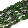 Natural Green Diopside Beads Strands G-G464-A01-02-2