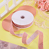 10 Yards Polyester Velvet Ribbon OCOR-TA0004-13A-5