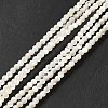 Natural White Shell Beads Strands SHEL-G014-14-2