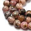 Natural Rhodonite Beads Strands G-R494-A12-01-3