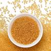 TOHO 8/0 Round Beads X-SEED-TR08-0002A-2