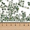6/0 Spray Paint Fringe Glass Seed Beads X1-SEED-H003-11I-4
