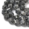 Natural Larvikite Beads Strands G-C267-B24-4