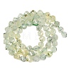 Natural Prehnite Beads Strands G-P611-C33-01-3