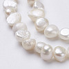 Natural Cultured Freshwater Pearl Beads Strands PEAR-P002-54-3