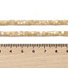 Natural Trochid Shell/Trochus Shell Beads Strands BSHE-H018-02-4