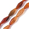 Dyed & Heated Natural Carnelian Beads Strands G-Q019-A02-2