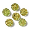 Transparent Lampwork Beads LAMP-P065-04A-12-1