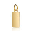 Ion Plating(IP) 304 Stainless Steel Pendants STAS-I311-31B-G-1