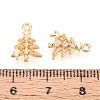 Brass Micro Pave Cubic Zirconia Charms KK-N263-145A-G-3