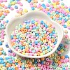 Baking Paint Glass Seed Beads X1-SEED-B001-02A-10-2