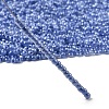 8/0 Ceylon Round Glass Seed Beads X-SEED-A011-3mm-146-3