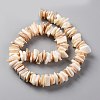 Natural Freshwater Shell Beads Strands SHEL-C001-10A-2