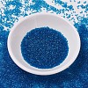 MIYUKI Delica Beads SEED-J020-DB0714-2