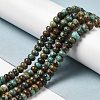 Natural Turquoise Beads Strands G-P506-03C-04-4