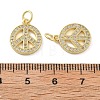 Brass Micro Pave Cubic Zirconia Charms KK-C092-04G-3