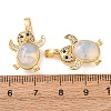 Opalite Pendants GG-CBA7789-01G-3