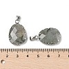 Natural Labradorite Pendants G-H086-01P-05-3