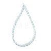 Dyed Natural Freshwater Shell Beads Strands SH-CBA2978-06C-3