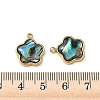 Natural Paua Shell Pendants STAS-G397-12G-02-3