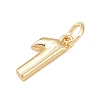 Brass Charms KK-G544-10G-01-2