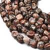 Natural Leopard Skin Jasper Beads Strands G-B161-A03-4