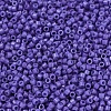MIYUKI Delica Beads SEED-J020-DB2359-3