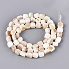 Natural Freshwater Shell Beads Strands BSHE-T014-51A-2