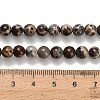 Natural Astroite Jasper Beads Strands G-H329-C02-6mm-5