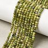Natural Serpentine Beads Strands G-P603-C-3mm-06-1