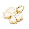 Rack Plating Brass Enamel Charms KK-B092-13G-03-2