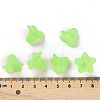Transparent Acrylic Beads PLF018-05-4