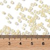 Glass Seed Beads X-SEED-S042-13A-02-4