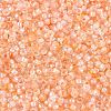 Baking Paint Glass Seed Beads SEED-Q041-03A-05-3