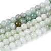 Natural Myanmar Jade Beads Strands G-N353-07F-01-2