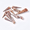 Natural Conch DIY-WH0097-01-1