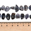 Natural Iolite Beads Strands G-L657-E04-01-5