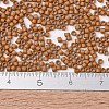 MIYUKI Delica Beads X-SEED-J020-DB2287-4